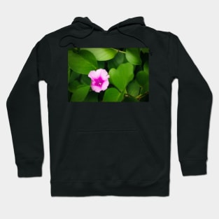 Purple flower between green leaves Hoodie